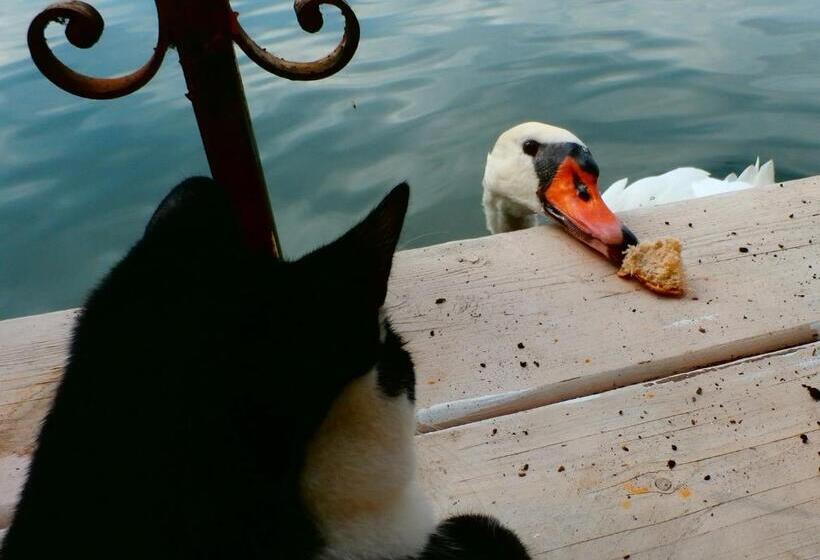 ホテル Drijfpaleis