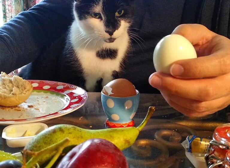 ホテル Drijfpaleis