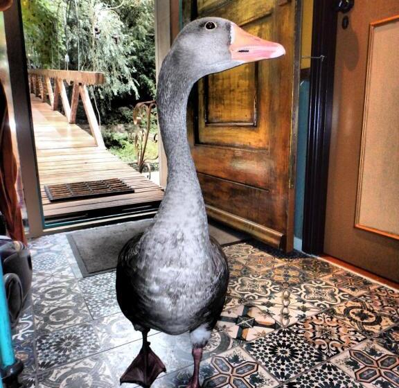 ホテル Drijfpaleis