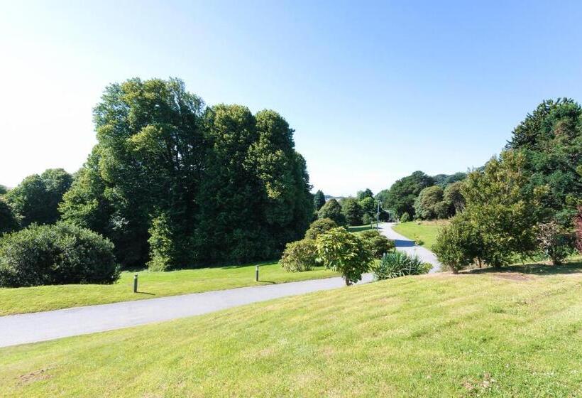 酒店 Glasney Rooms, University Campus Penryn