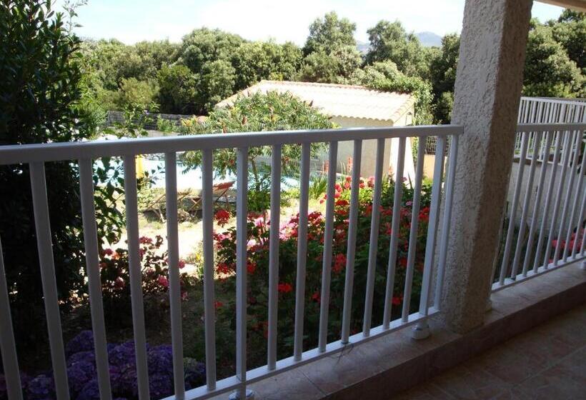 호텔 Hôtel Camparellu