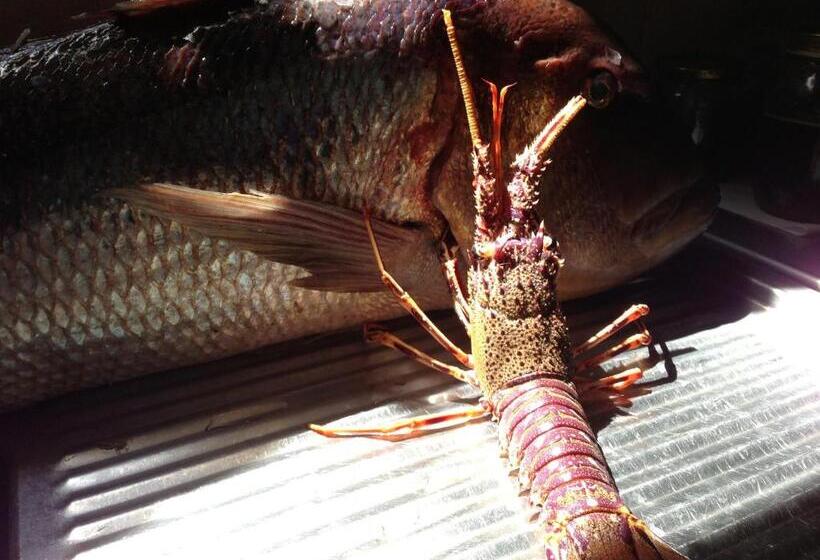 호텔 Hôtel Camparellu