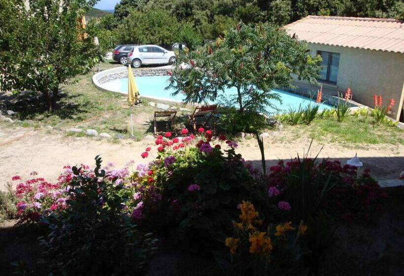 호텔 Hôtel Camparellu