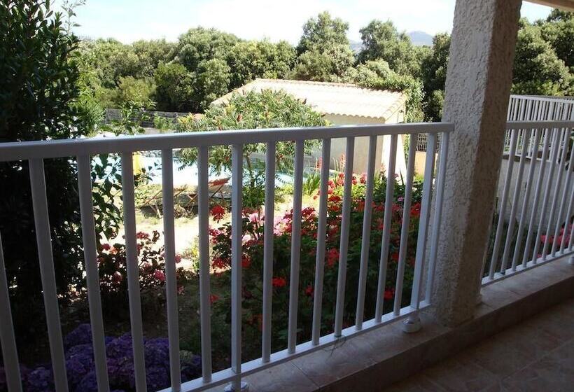 호텔 Hôtel Camparellu