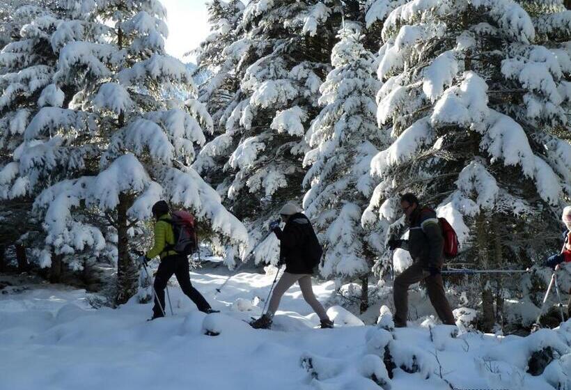 酒店 Hôtel Saint Vincent