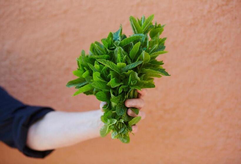 酒店 Karnelund Krog & Rum