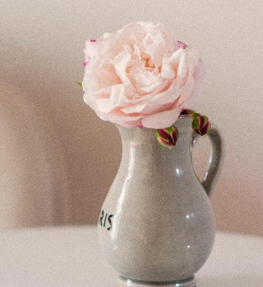 ホテル Karnelund Krog & Rum