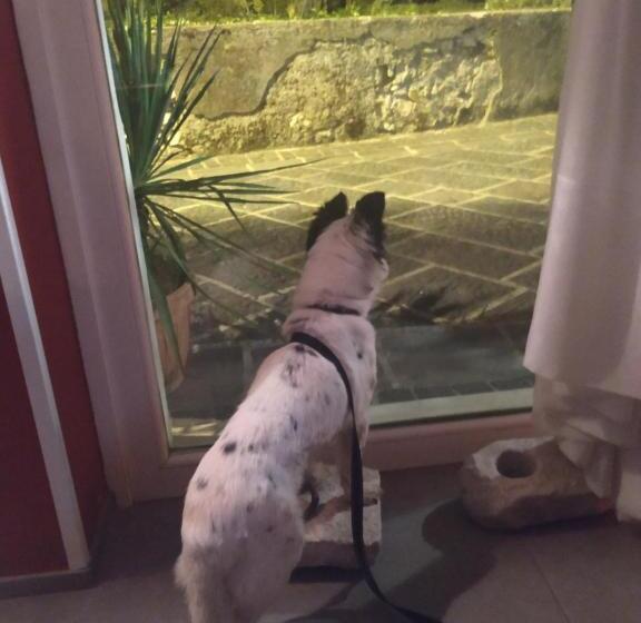 فندق La Congiura Dei Baroni