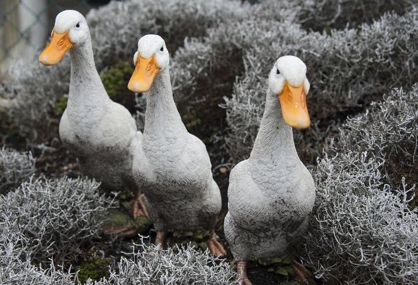 فندق Locanda Le Tre Oche