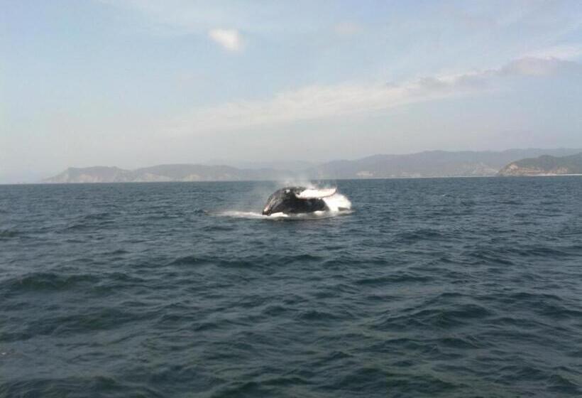 هتل Ocean View Happy Hill