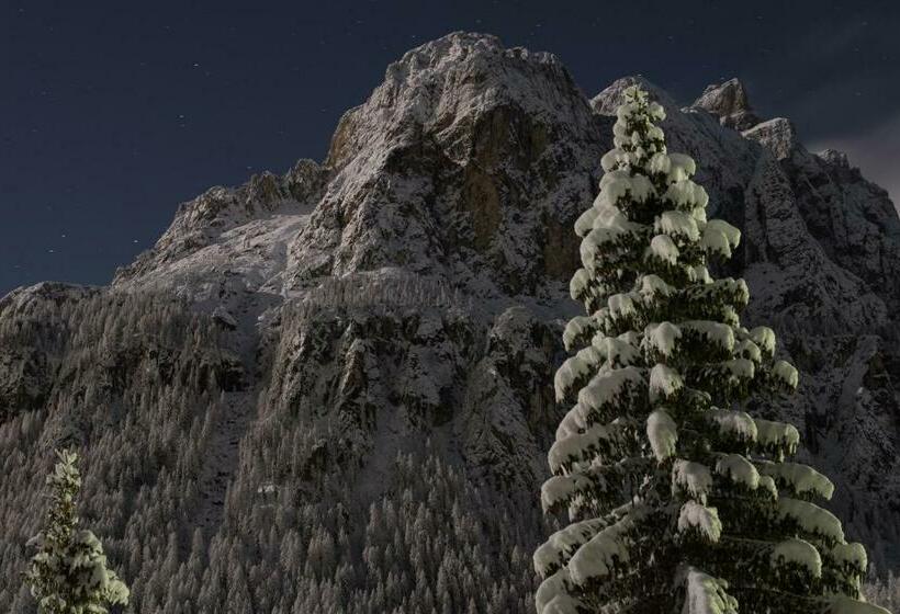 酒店 Pensione Sellablick