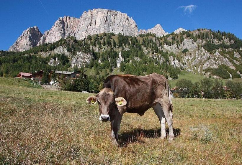 酒店 Pensione Sellablick