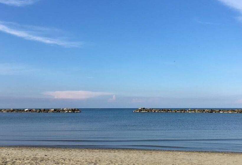 ホテル San Francisco