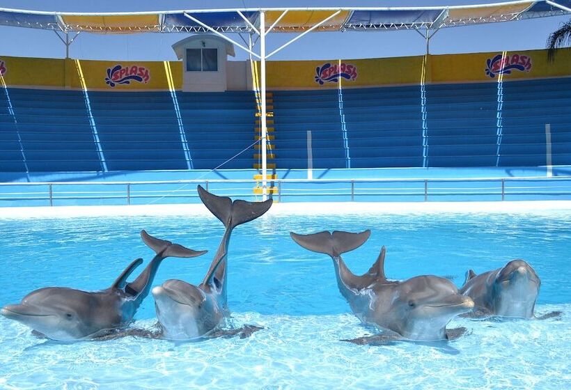 בית מלון כפרי Splash Inn