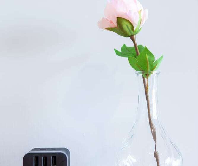 בית מלון כפרי Vikas