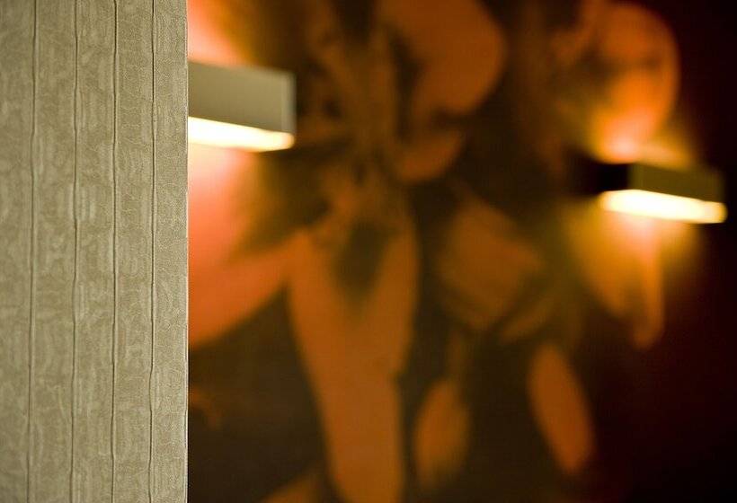 בית מלון כפרי Viola M