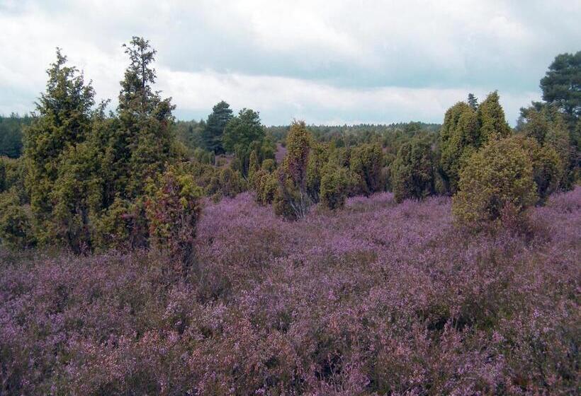 فندق Zum Goldenen Hirsch