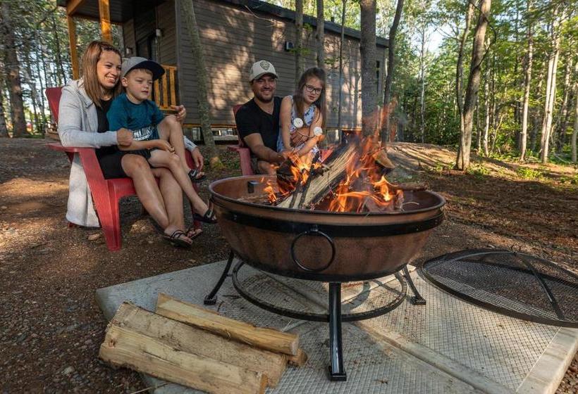 Motel And Camping Colibri