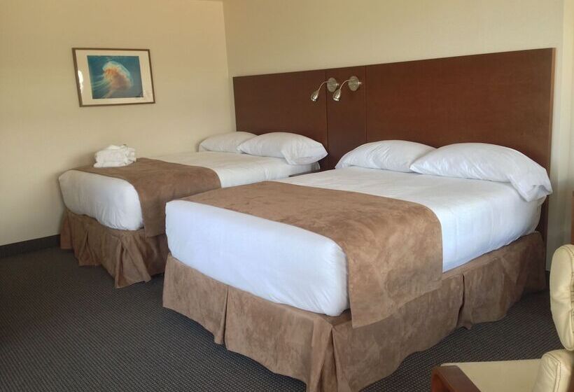 汽车旅馆 Les Trois Soeurs