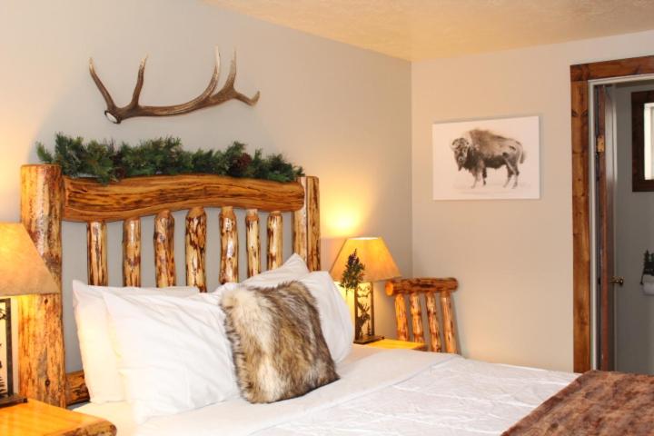 فندق على الطريق The Evergreen