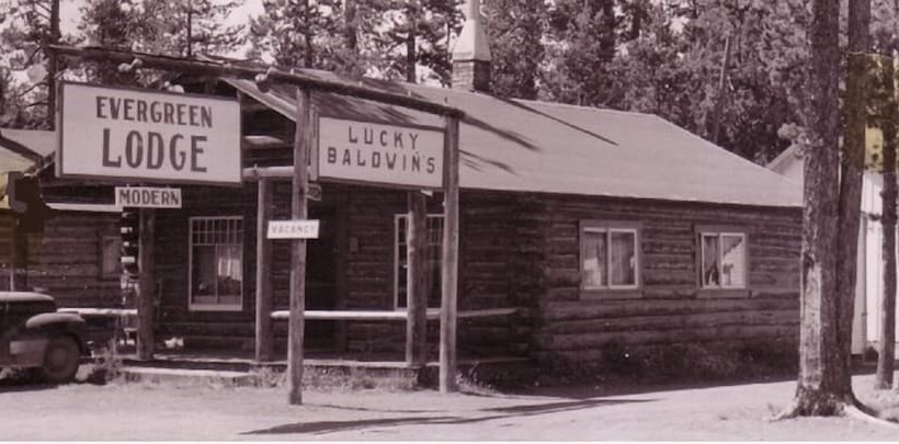 فندق على الطريق The Evergreen