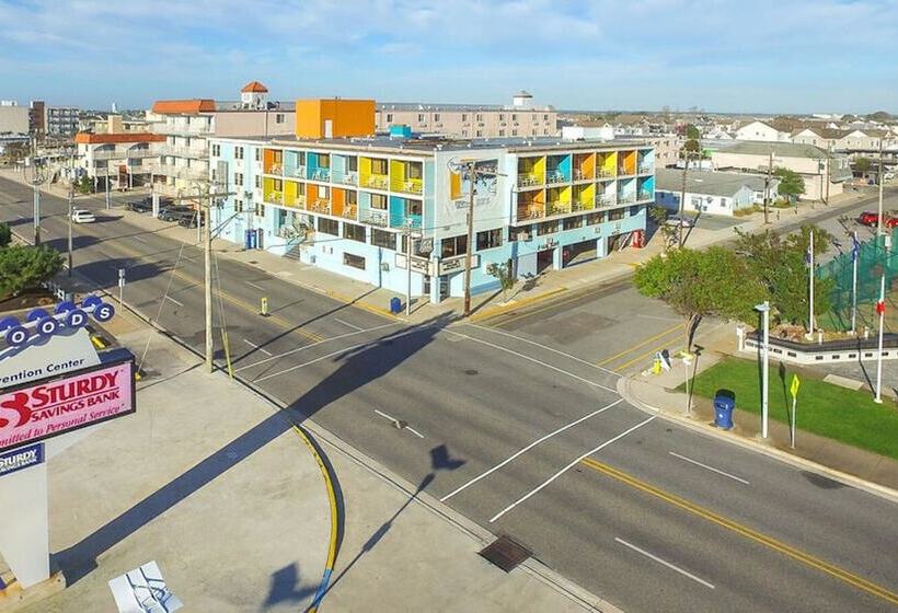 Oceanic Hotel & Barefoot Tiki Bar