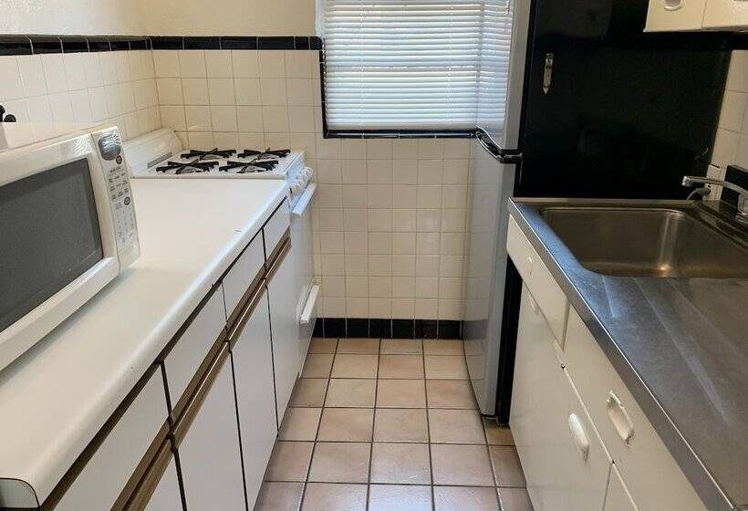 Oceanic Hotel & Barefoot Tiki Bar