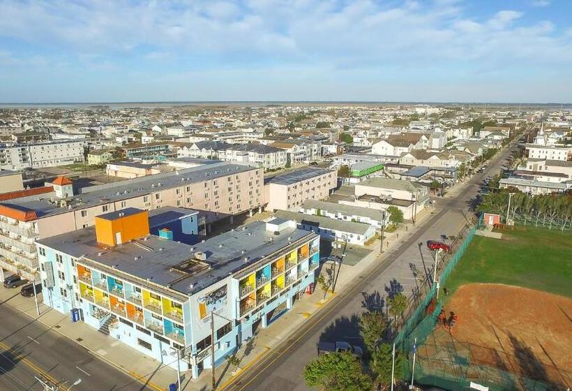 Oceanic Hotel & Barefoot Tiki Bar