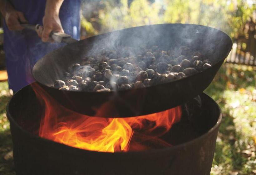 Palmengarten Hotel Gstör