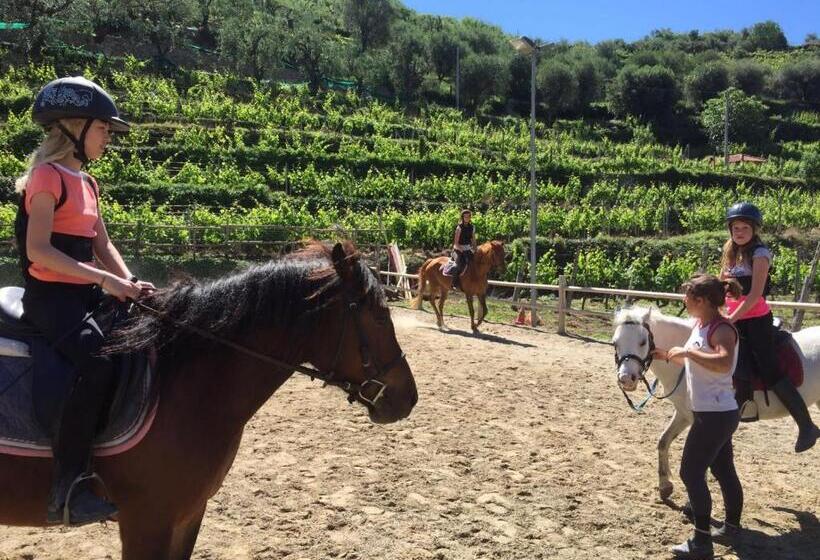 레지던스 Il Villaggio Di Giuele