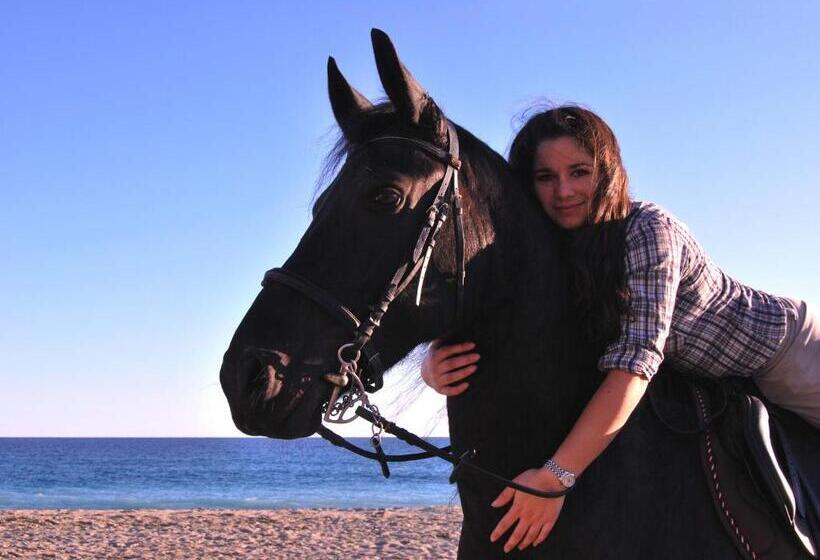 레지던스 Il Villaggio Di Giuele