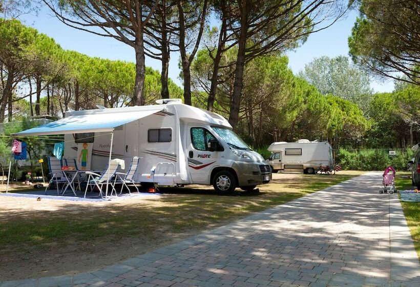 리조트 Villaggio Turistico Internazionale