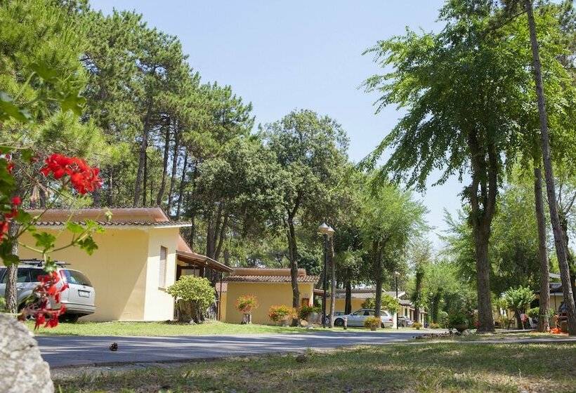 리조트 Villaggio Turistico Internazionale