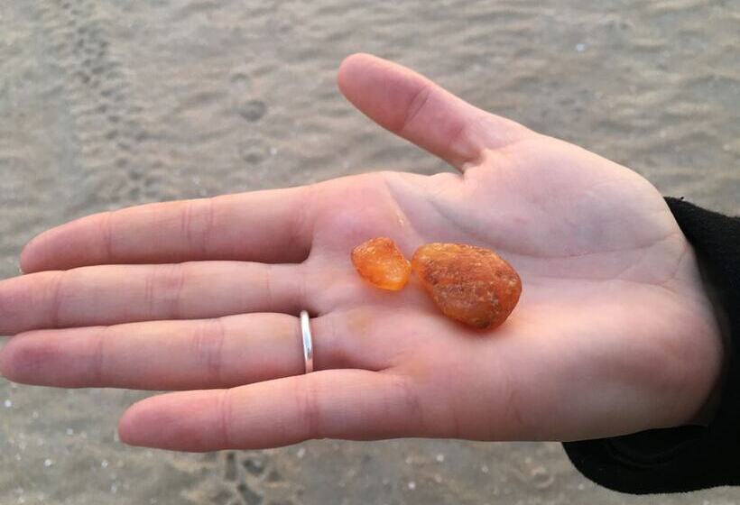 Poppelgaarden Rømø   Hostel