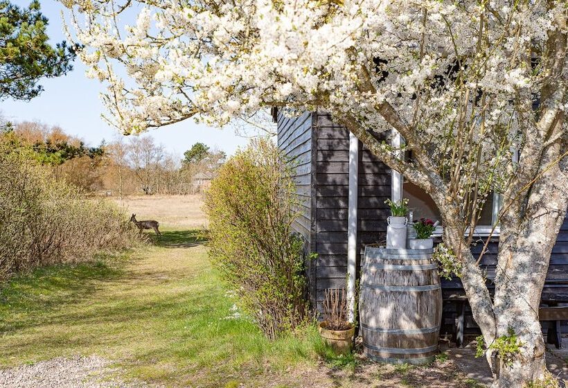 Poppelgaarden Rømø   Hostel