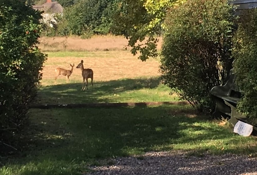 Poppelgaarden Rømø   Hostel