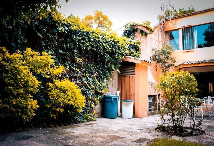 Bed and Breakfast Ayenda Suites Cuija