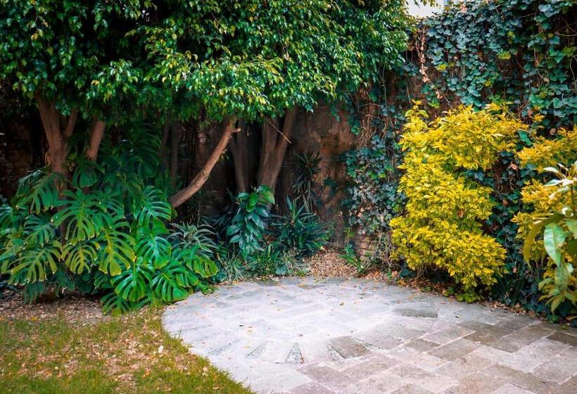 Bed and Breakfast Ayenda Suites Cuija