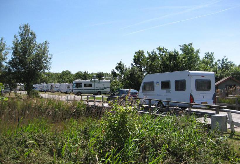 Bed And Breakfast De Zeehoeve