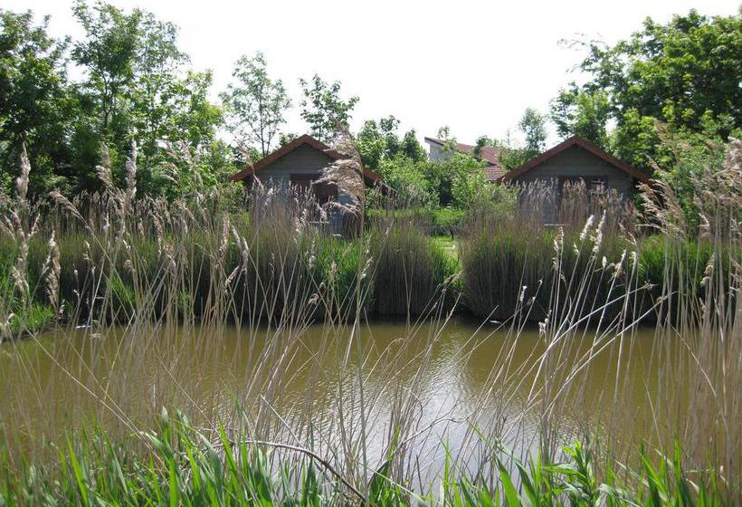 Bed And Breakfast De Zeehoeve