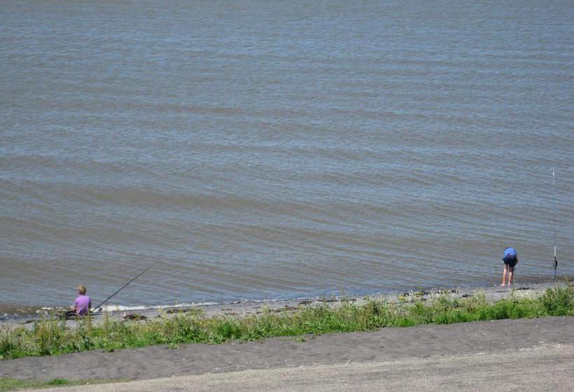 Bed And Breakfast De Zeehoeve