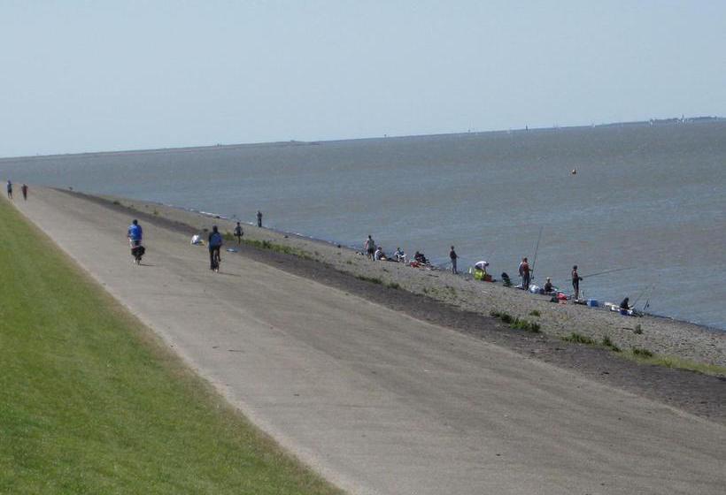 Bed And Breakfast De Zeehoeve