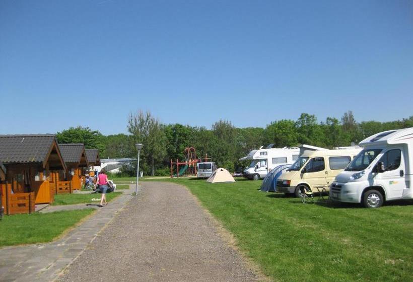 Bed And Breakfast De Zeehoeve