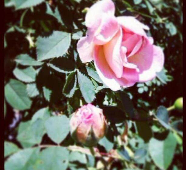 ベッドアンドブレックファースト Elisetorp