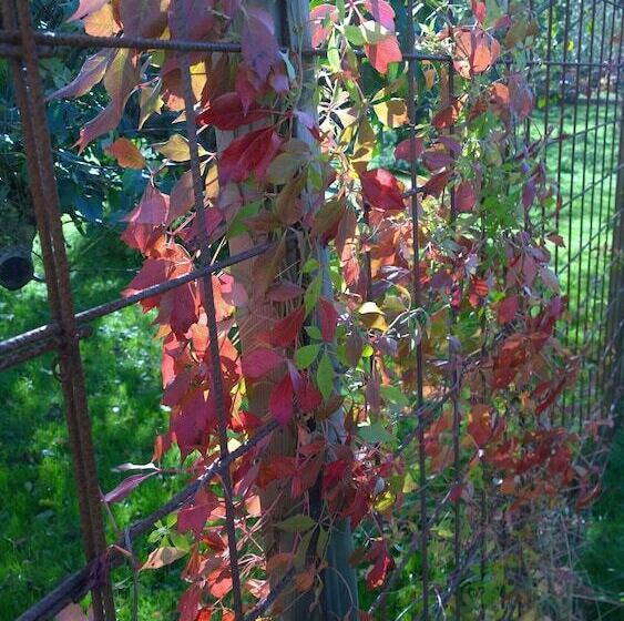 ベッドアンドブレックファースト Elisetorp