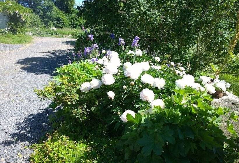 ベッドアンドブレックファースト Elisetorp