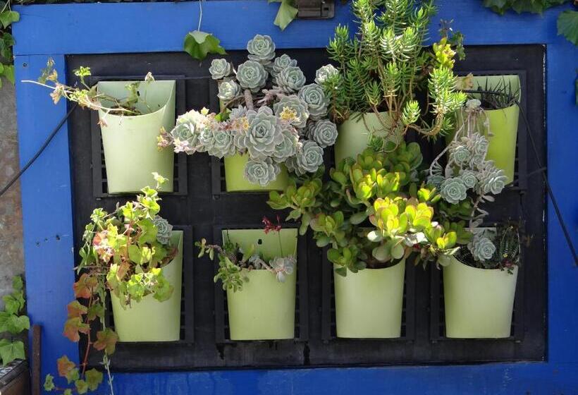 민박 Laura Del Mar Hotel Boutique