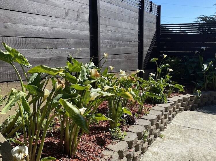 민박 Ocean View Inn