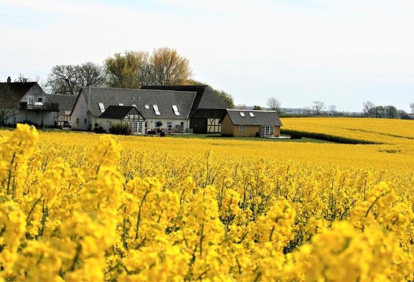 ベッドアンドブレックファースト Rødkærgård Bed&breakfast