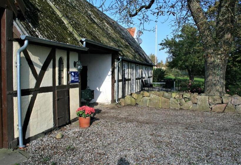 مبيت وإفطار Rødkærgård Bed&breakfast